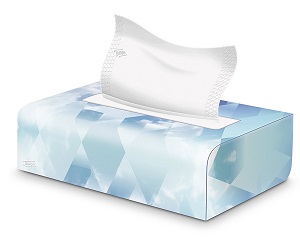 Tempo Facial Tissues Box  Alpine Village Cosmetics